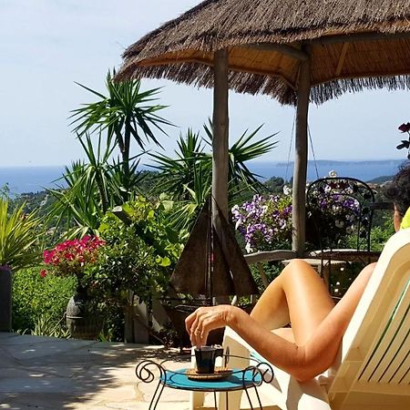 Nouveau ! Chambre D'Hote Insolite Privee " Coeurs De Pirates A Bali En Provence" Spa Sauna Massages Dans Cadre Exotique D'Amenagements Exterieurs D'Exception Ete Comme Hiver Bienvenue !!! Cavalaire-sur-Mer Exterior photo