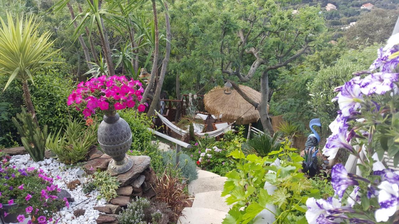 Nouveau ! Chambre D'Hote Insolite Privee " Coeurs De Pirates A Bali En Provence" Spa Sauna Massages Dans Cadre Exotique D'Amenagements Exterieurs D'Exception Ete Comme Hiver Bienvenue !!! Cavalaire-sur-Mer Exterior photo
