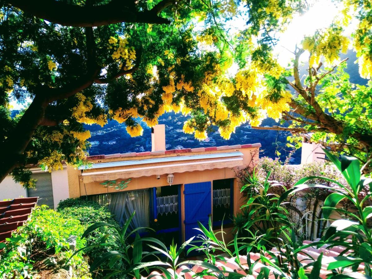 Nouveau ! Chambre D'Hote Insolite Privee " Coeurs De Pirates A Bali En Provence" Spa Sauna Massages Dans Cadre Exotique D'Amenagements Exterieurs D'Exception Ete Comme Hiver Bienvenue !!! Cavalaire-sur-Mer Exterior photo